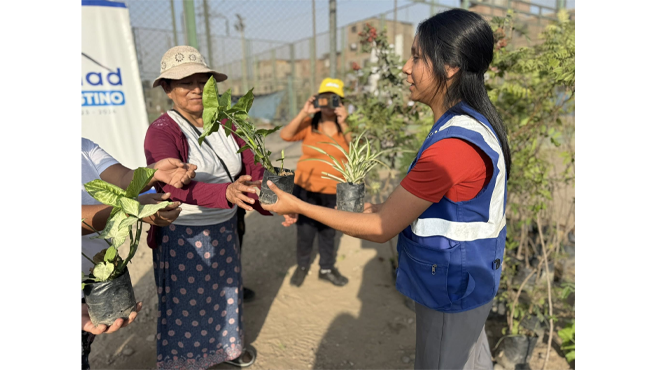 La actividad se desarrolló en la Av. Malecón de la Amistad con calle William Guzmán, donde se llevaron a cabo labores de limpieza y arborización, reafirmando nuestro compromiso con la protección del medio ambiente y el cuidado de nuestros espacios naturales.
Esta jornada fue posible gracias al trabajo conjunto de vecinos, el equipo del Programa Municipal EDUCCA, la Municipalidad de El Agustino y el SEA (Servicio de Educación Ambiental).
¡Seguimos trabajando juntos por un distrito limpio, verde y responsable!
