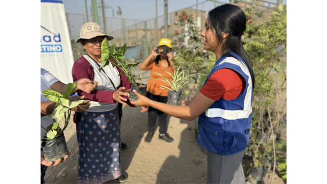 La actividad se desarrolló en la Av. Malecón de la Amistad con calle William Guzmán, donde se llevaron a cabo labores de limpieza y arborización, reafirmando nuestro compromiso con la protección del medio ambiente y el cuidado de nuestros espacios naturales.
Esta jornada fue posible gracias al trabajo conjunto de vecinos, el equipo del Programa Municipal EDUCCA, la Municipalidad de El Agustino y el SEA (Servicio de Educación Ambiental).
¡Seguimos trabajando juntos por un distrito limpio, verde y responsable!