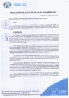Vista preliminar de documento RESOLUCION DE ALCALDIA N°195-A-2024-MDCA-ALC