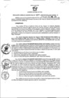 Vista preliminar de documento RGSR 027-2025