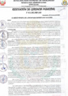 Vista preliminar de documento RESOLUCIÓN DE GERENCIA MUNICIPAL N° 015-2025-MDY GM