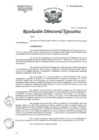 Vista preliminar de documento R.D.E. Nº065-2025-HNAL-DG