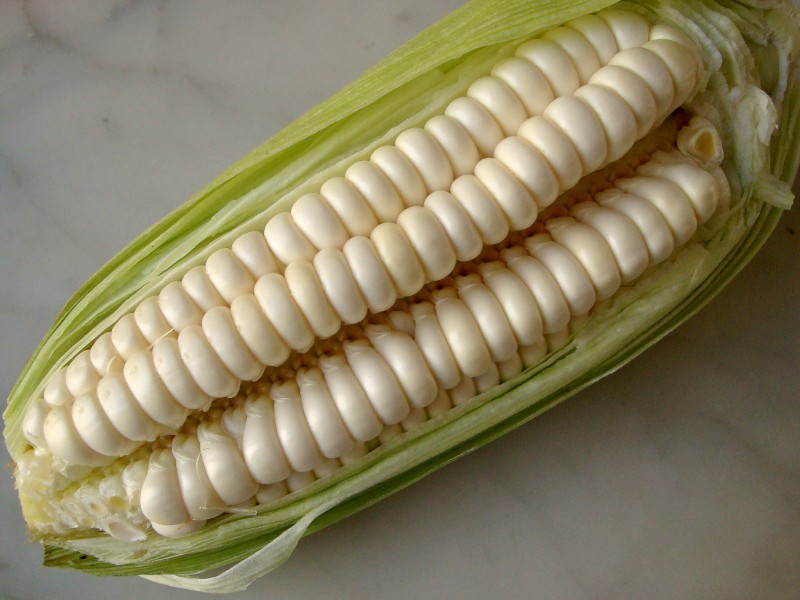 MIDAGRI