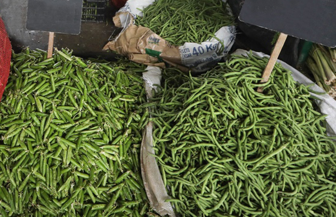 midagri