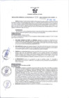 Vista preliminar de documento RGSR 038-2025