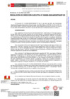 Vista preliminar de documento RDE095