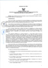 Vista preliminar de documento RD N°76-2025 APROB COMITE ELECTROLA PARA LA CPC UE 304