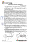 Vista preliminar de documento Resolución de Alcaldía Nro 160-2025-MDM
