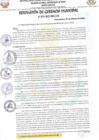 Vista preliminar de documento RESOLUCIÓN DE GERENCIA MUNICIPAL N° 031-2025-MDY GM
