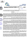 Vista preliminar de documento Resolucion Directoral N° 002907-2025