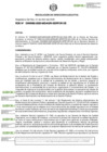 Vista preliminar de documento RDE-000082-2025-DE