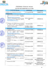 Vista preliminar de documento BASES CAS Nº003-2025 CRONOGRAMA