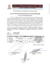 Vista preliminar de documento ACTA DE EVALUACION CURRICULAR - PLANIFICADOR IV D.L. N°276