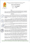 Vista preliminar de documento RG 115-2025-GM-MDT