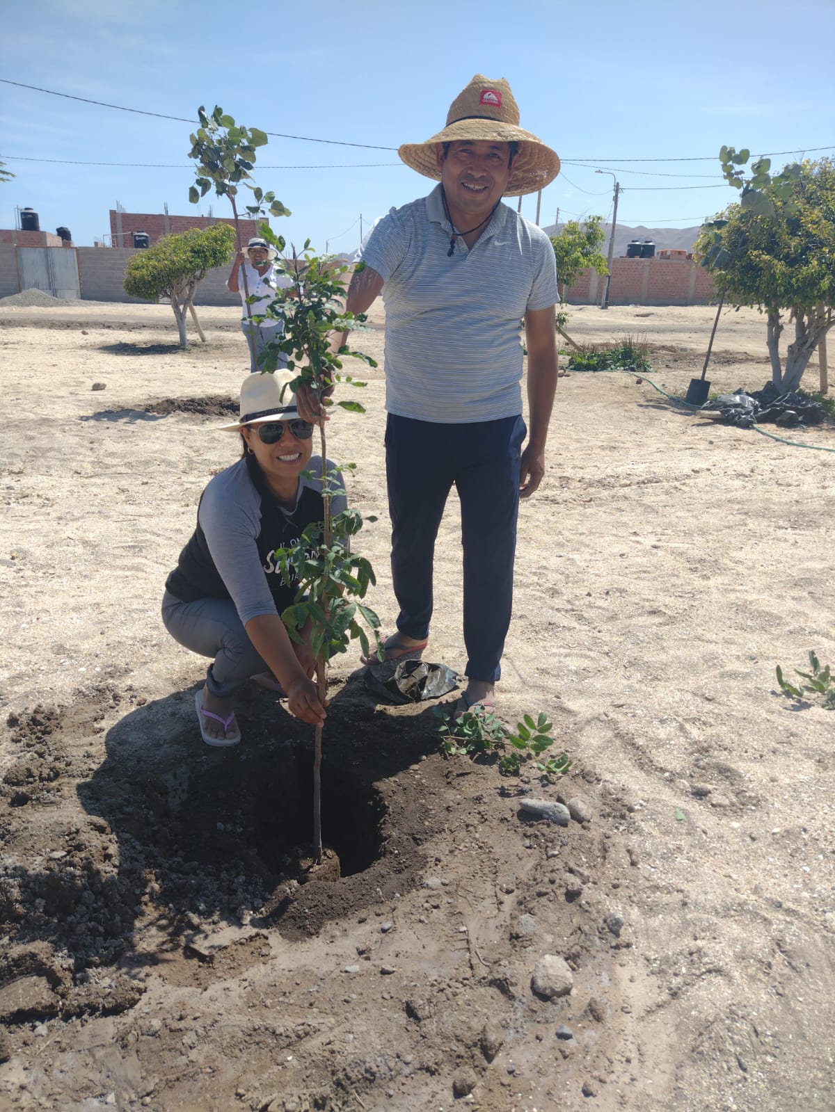 imagen de arborizacion Los Arenales