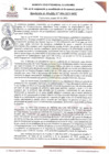 Vista preliminar de documento RAN084-2025
