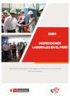 Vista preliminar de documento INSPECCIONES EN EL PERÚ 2024