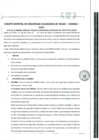 Vista preliminar de documento Acta de la Primera consulta pública de Seguridad Ciudadana