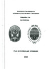 Vista preliminar de documento Plan de Patrullaje Integrado