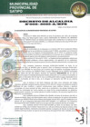 Vista preliminar de documento DECRETO DE ALCALDIA N° 002-2025-A-MPS