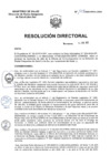 Vista preliminar de documento R.D. Nº 124-2025