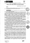Vista preliminar de documento rd096-2025