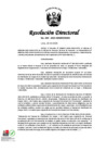 Vista preliminar de documento RD_N_ 204_2025_MIMP_OGRH
