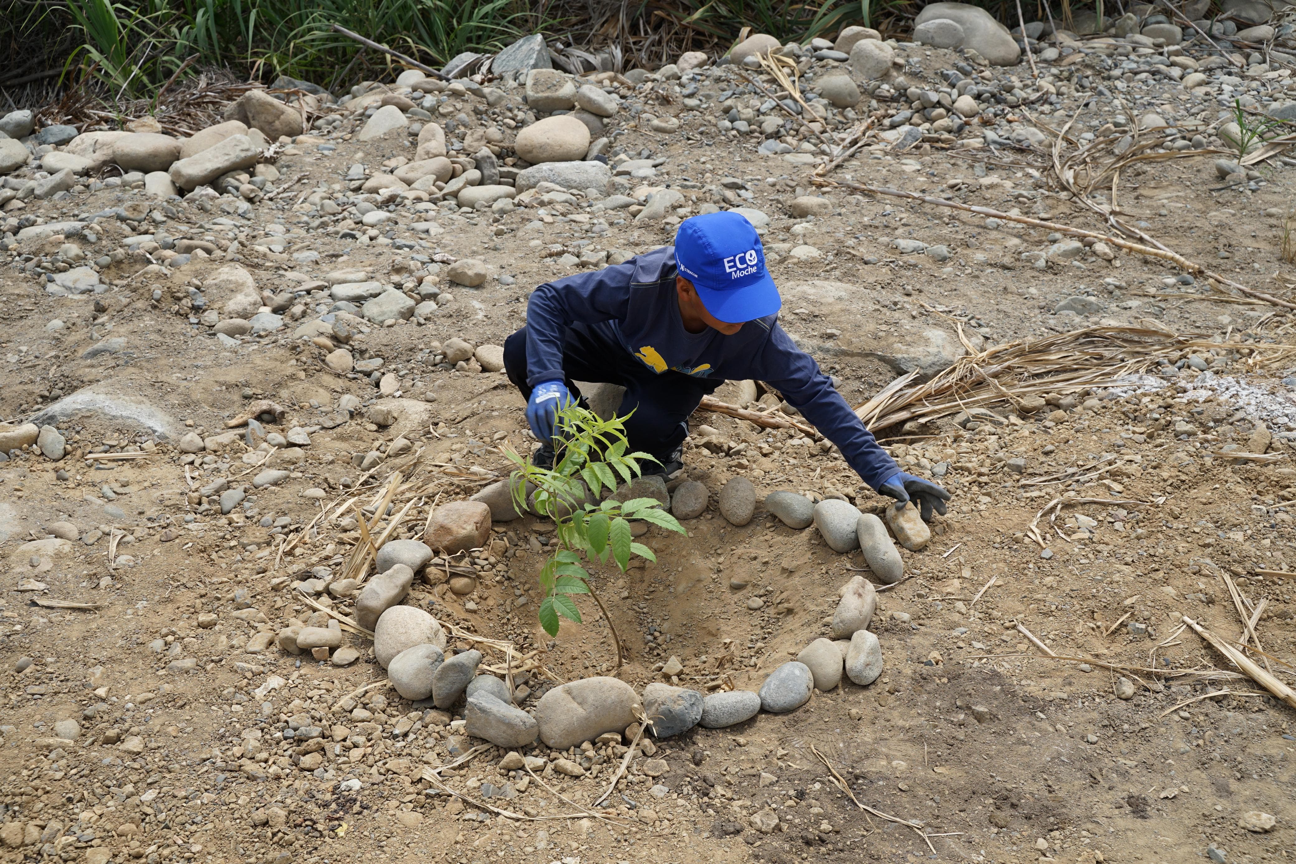 Gore Impulsa La Reforestación En La Ribera Del Río Moche Por El Día De La Tierra