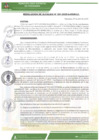 Vista preliminar de documento ra-081