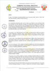 Vista preliminar de documento RESOLUCION N 295