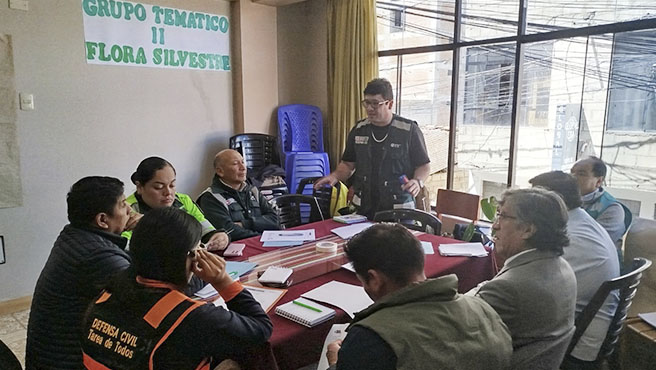 mesa técnica