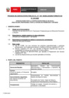 Vista preliminar de documento Perfil Practica Profesional 047-2025