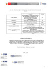 Vista preliminar de documento TDR OBRA PS VIRGEN DEL CARMEN Contratista 03.04.2025F