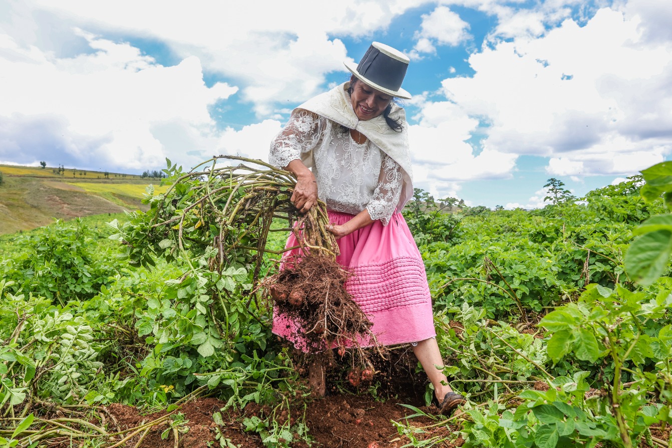 El MIDAGRI será el responsable del monitoreo y seguimiento en el cumplimiento de la medida a favor de 4,020 productores agropecuarios