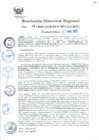 Vista preliminar de documento RESOL-DIREC-REG030-2025