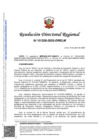 Vista preliminar de documento RDR-1328-2025-DRELM