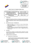 Vista preliminar de documento 01 2025-04-10 Directiva N° DCD-12-2025
