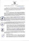 Vista preliminar de documento RGSR-99-2025