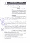 Vista preliminar de documento RDR 133-2025