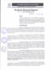 Vista preliminar de documento RDR 151-2025