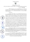 Vista preliminar de documento GRDS.155