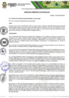 Vista preliminar de documento Ordenanza Municipal N°017-2025-MPSM