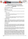 Vista preliminar de documento TDR REQ. 2243