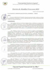 Vista preliminar de documento DA_003_2025_MDI