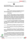 Vista preliminar de documento RESOLUCION DE PRESIDENCIA-D000083-2025-CONADIS-PRE