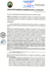Vista preliminar de documento RGA167-2025
