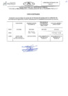 Vista preliminar de documento TDR-CRONOGRAMA