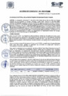 Vista preliminar de documento A.C. N° 31-2023-MDSMP