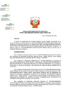 Vista preliminar de documento RDE N° 091-2025-DE