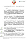 Vista preliminar de documento RGG Nº D000031-2025-GG